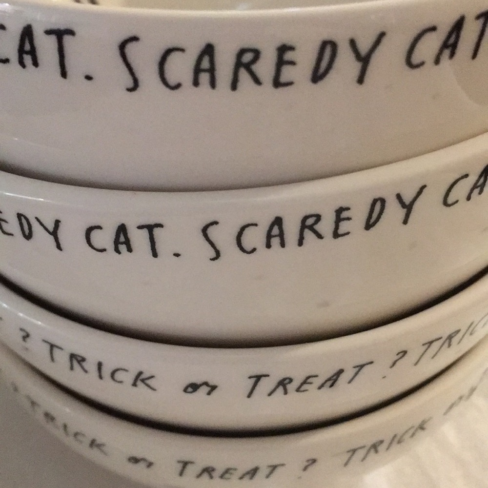 Scaredy Cat